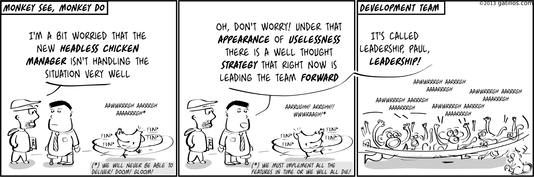 Paul the innovator (60): Monkey see, monkey do