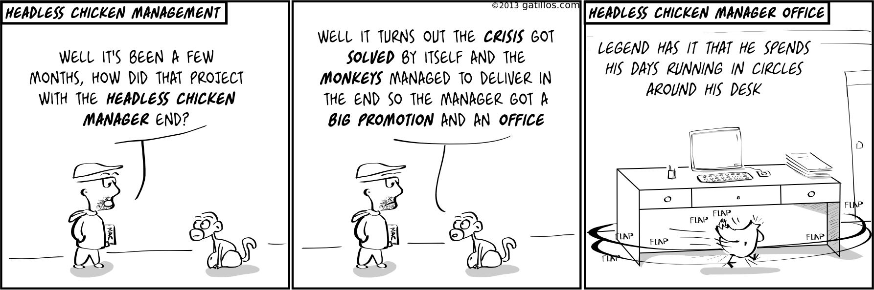 Paul the innovator (61): Headless chicken management